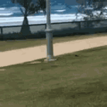 Beach Excited GIF - Beach Excited Happy GIFs