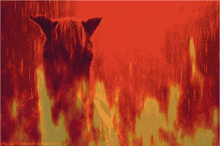 Tomascore Hell GIF - Tomascore Hell Fire GIFs