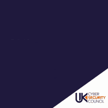 Uk Cyber Security Council So Exciting GIF