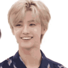 a close up of a young man 's face with blonde hair and a blue shirt smiling .