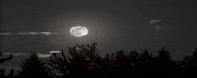 a full moon is shining brightly in the night sky above trees