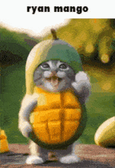 a cat dressed as a mango is standing on a wooden table .