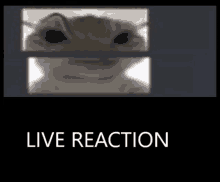 Live Reaction GIF