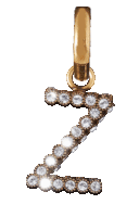 the letter z is surrounded by diamonds on a gold ring
