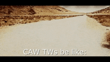 Caw Bird GIF - Caw Bird GIFs