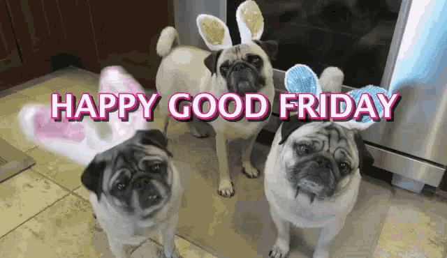 Good Friday Happy Good Friday GIF - Good Friday Happy Good Friday Easter  Dogs - Discover & Share GIFs