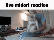 Midori Midori Cat GIF