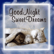 Good Night Sweet Dreams GIF - Good Night Sweet Dreams Cats GIFs