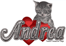 Andrea GIF - Andrea GIFs