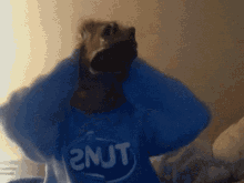 Oh Yes Check My (W)Horse-ness I Can Feel It!!!! GIF - Horsemask Dance GIFs