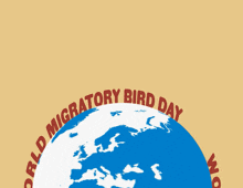 World Migratory Bird Day International Migratory Bird Day GIF - World Migratory Bird Day International Migratory Bird Day Day To Protect Migratory Birds GIFs