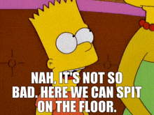 bart simpson from the simpsons says nah it 's not so bad . here we can spit on the floor .