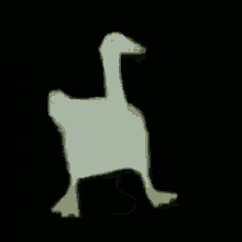 Duck Dance GIF
