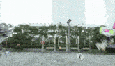 a person is standing in front of a building with a sign that says no dogs