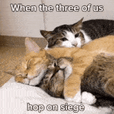 When The Three Of Us Hop On Siege GIF - When The Three Of Us Hop On Siege GIFs