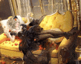 a woman in a black dress is laying on a couch with roses on the floor