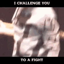 I Challenge You To A Fight GIF - I Challenge You To A Fight GIFs