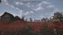 a video game scene with a house in the background and a field of red flowers .