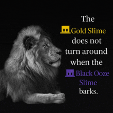 a black and white photo of a lion with a quote on it