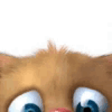 a close up of a cartoon cat 's face with big blue eyes and a pink nose .