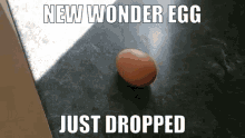 New Wonder Egg Wonder Egg Priority GIF