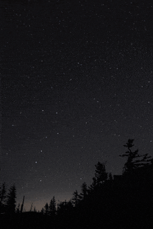 a drawing of the constellation ursa major shows the location of carro maggiore