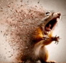 a squirrel with its mouth open is being destroyed by a bullet .