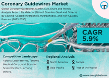Coronary Guidewires Market GIF - Coronary Guidewires Market GIFs