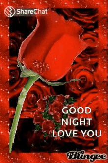 good night good nite rose flower love you