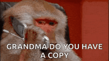 a monkey with a spoon in its mouth and the words grandma do you have a copy below it .