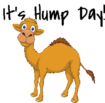 Wednesday Hump Day Motivation Animated Stickers Sticker