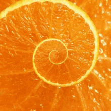 Vitaminsiz Sezar Orange GIF
