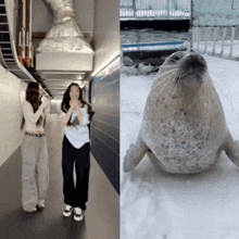 two women standing next to each other in a hallway next to a seal