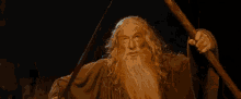 Lord Of The Rings You Shall Not Pass GIF