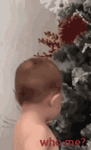 bb.gif