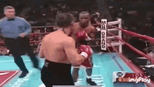 Zab Judah Knock Out Queen Mama Just Killed A Man GIF
