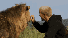 Petting A Lion Dean Schneider GIF - Petting A Lion Dean Schneider Touching GIFs