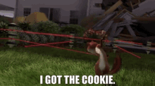 Over The Hedge Hammy GIF - Over The Hedge Hammy I Got The Cookie GIFs