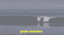 Jesse Mendes Flamboiar GIF - Jesse Mendes Flamboiar Surfista GIFs