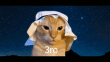 3ro Bro GIF - 3ro Bro Cat GIFs
