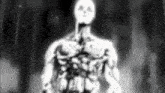a black and white drawing of a skeleton standing in the dark .