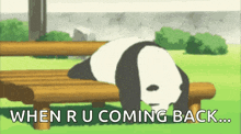 a panda bear is laying on a wooden bench with the words `` when u coming back '' written on the bottom .