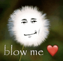a dandelion with a face on it and the words blow me written on it