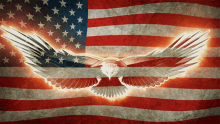 Usa United States Of America GIF - Usa United States Of America Usa Freedom GIFs
