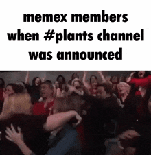 Memex Memx GIF - Memex Meme Memx GIFs