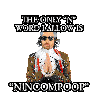the only n word i allow is " nincompoop " written on a white background