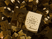 a 5m united states of america donald trump card