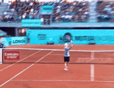 Diego Schwartzman Overhead Smash GIF - Diego Schwartzman Overhead Smash Tennis GIFs