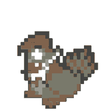 staraptor staraptor