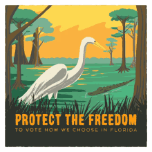 protect freedom
